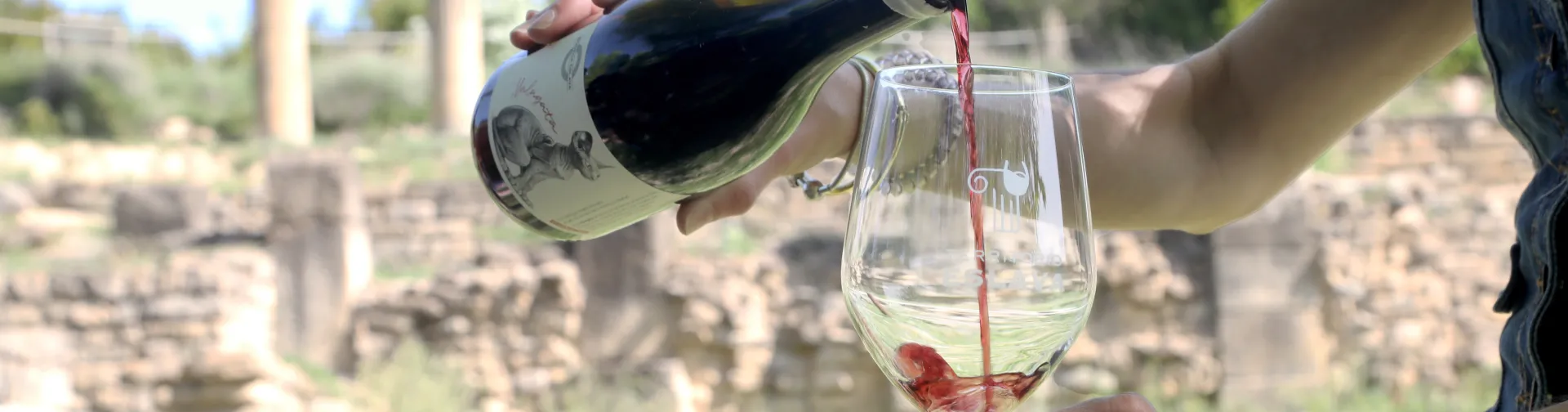 Degustación de vino tinto de Bodega Eslava en el yacimiento de Santa Criz de Eslava.