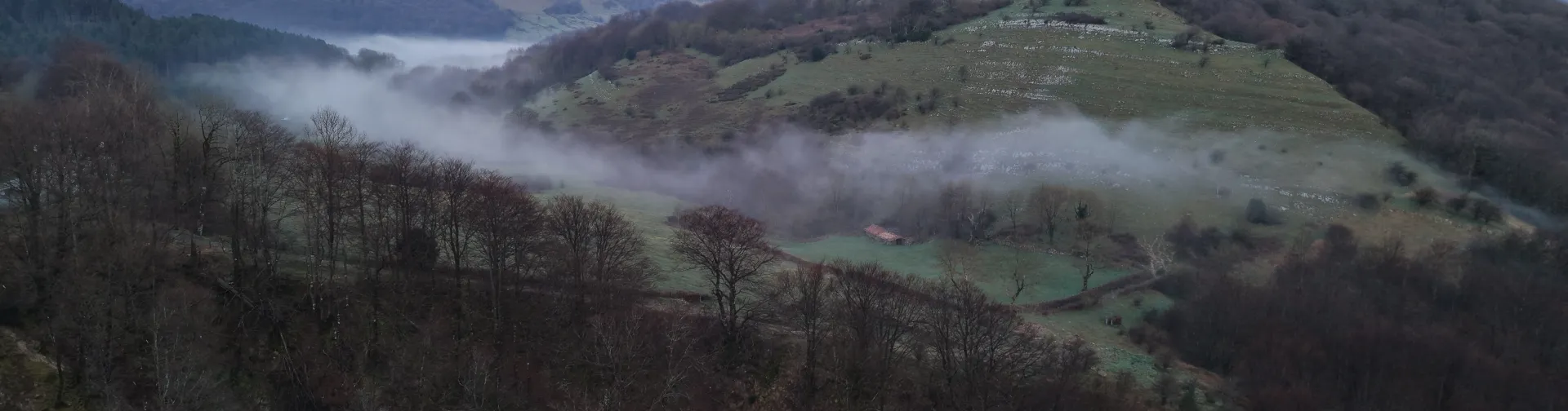 Vista de Belate cubierto de niebla matutina con bosque y pastizales en ladera de montaña.