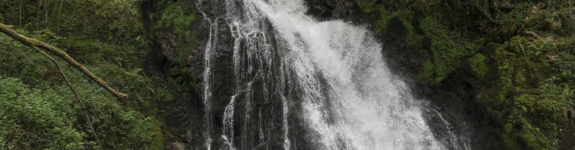 Cascada de Xorroxin en Baztan-Bidasoa con salto de agua entre vegetacion exuberante y bosque denso.