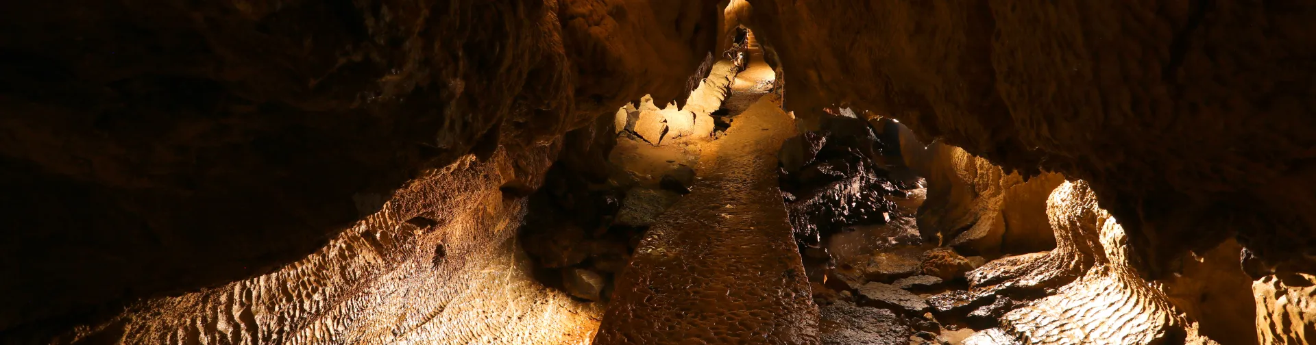 Interior de las Cuevas de Urdax con estalactitas iluminadas en tonos dorados y formaciones rocosas características.
