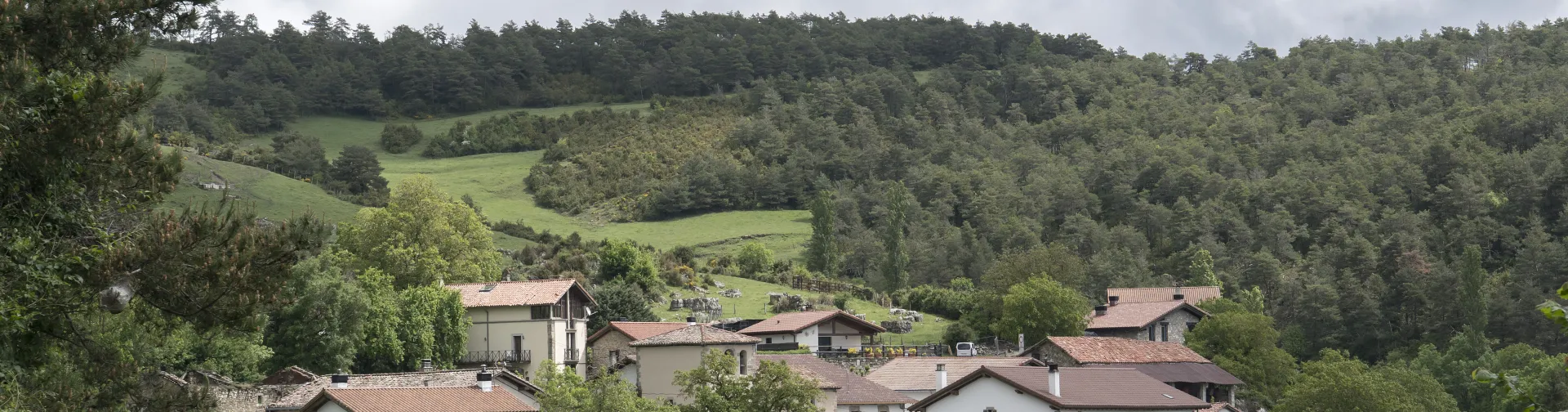 Vista general del pueblo de Errea, Pirineo de Navarra, rodeado de bosque y prados verdes.