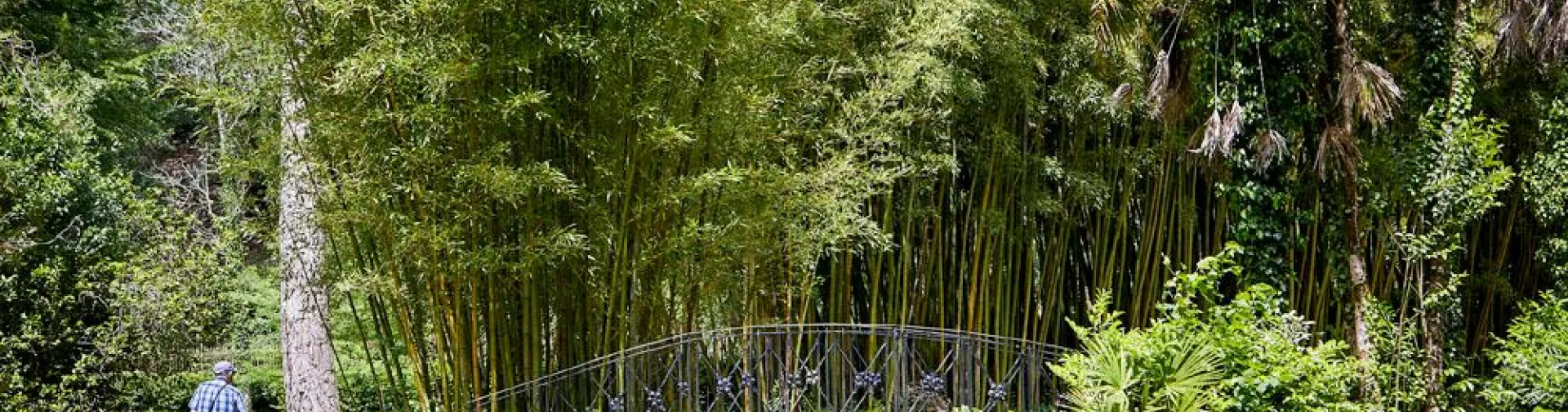 Día internacional de los bosques en Bertiz