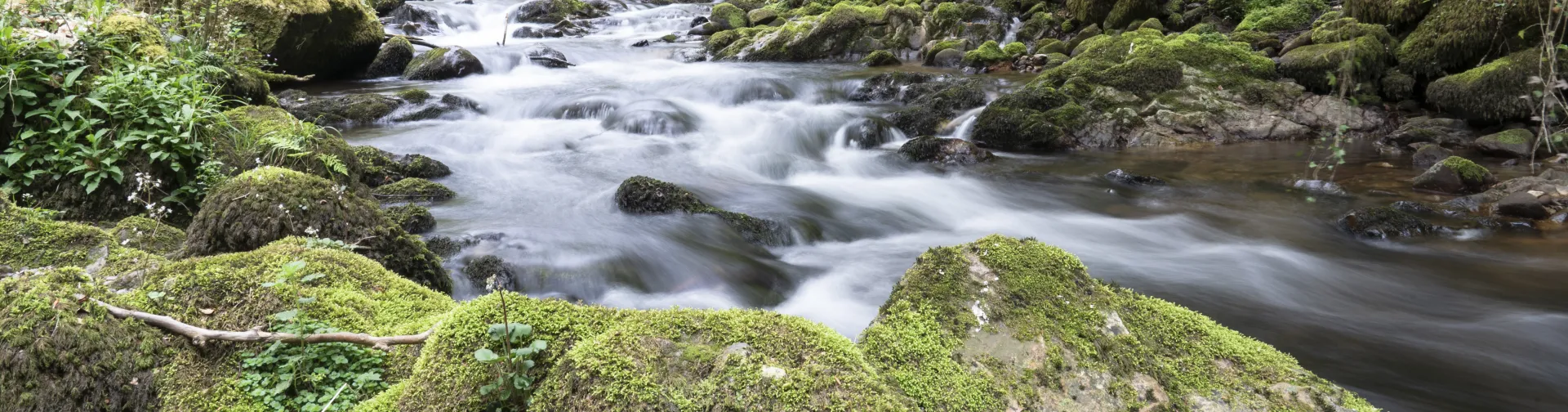 Rio cerca de la cascada Xorroxin rodeado de piedras con musgo y arboles verdes.