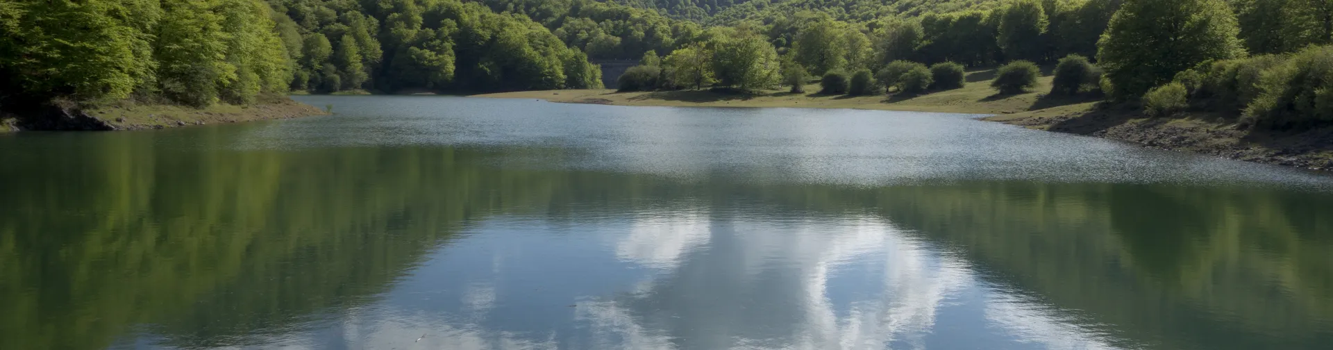 Embalse de Leurza rodeado de bosque verde, que a su vez se refleja en el agua.