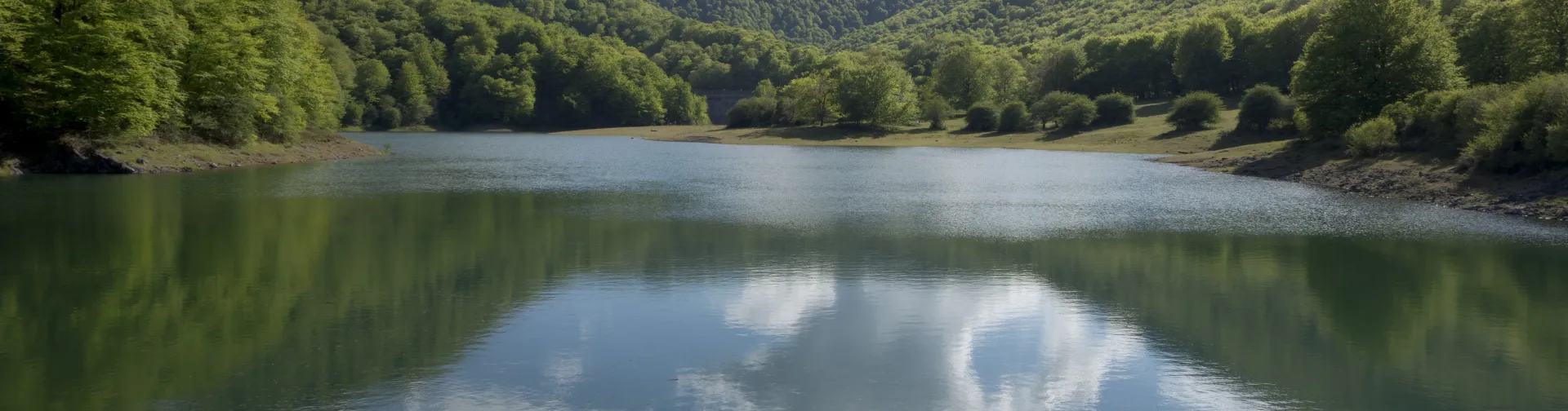 Embalse de Leurza rodeado de bosque verde, que a su vez se refleja en el agua.