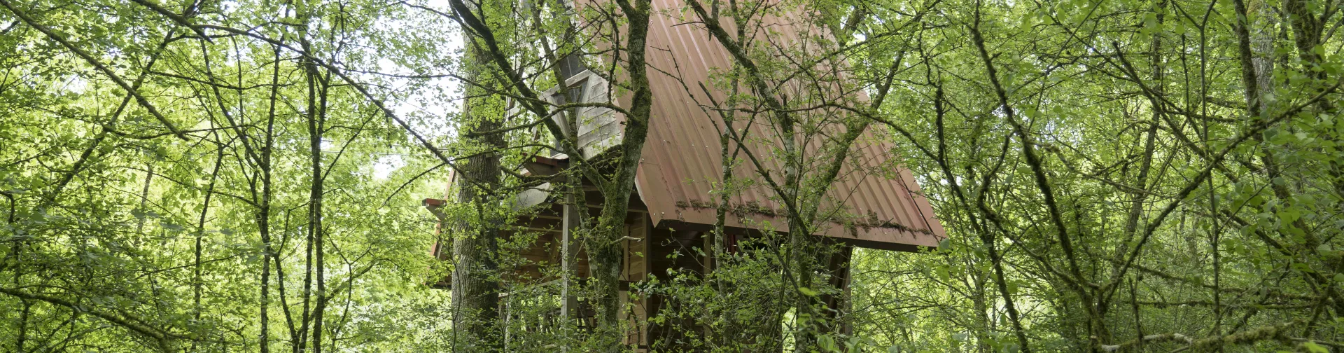 Casa de madera elevada entre bosque en Experiencia Basoa Suites, alojamiento en Larrainzar, valle de la Ultzama.