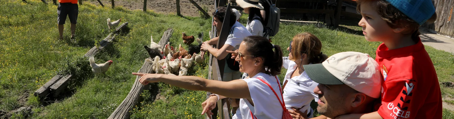 Visitantes observando gallinas en granja escuela de Ultzama, con prado verde y montañas al fondo.