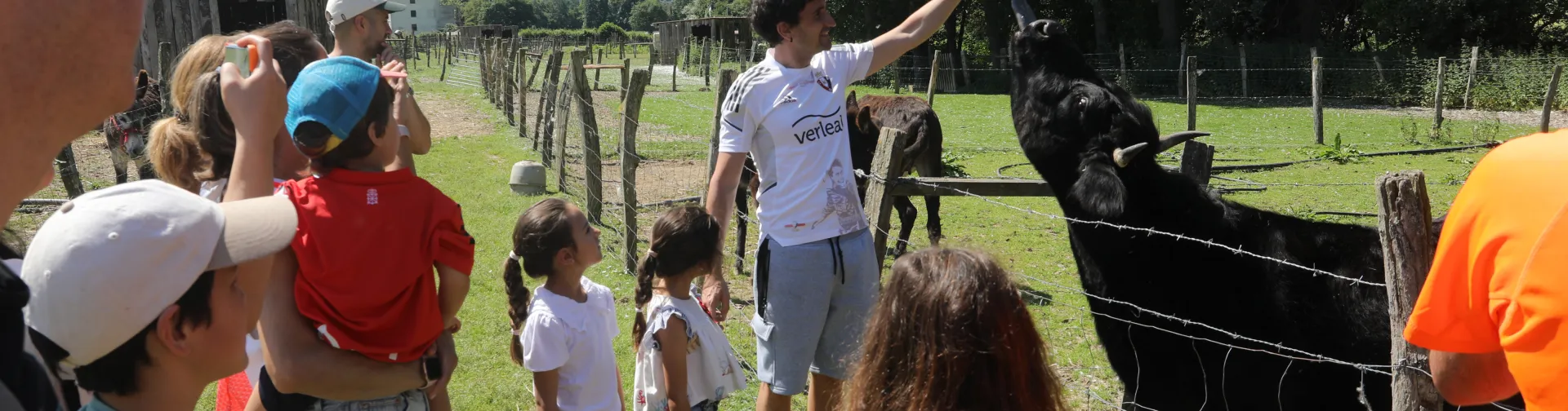Un visitante alimenta un toro negro en la granja escuela de Ultzama con grupo de niños observando.