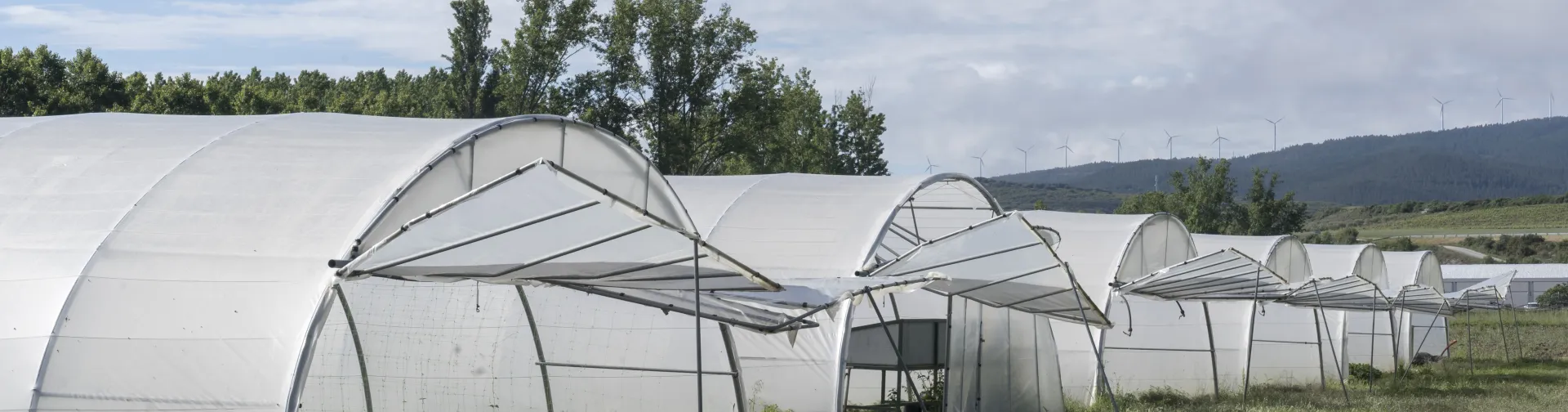 Invernaderos de cultivo ecológico en Experiencia Josenea Bio de Lumbier, Comarca de Sangüesa, con montaña prepirenaica al fondo.