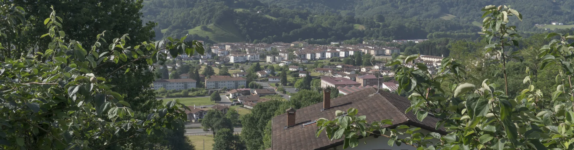 Vista panorámica del Valle de Baztan desde caserío tradicional con pueblo de Elizondo y montañas boscosas al fondo.