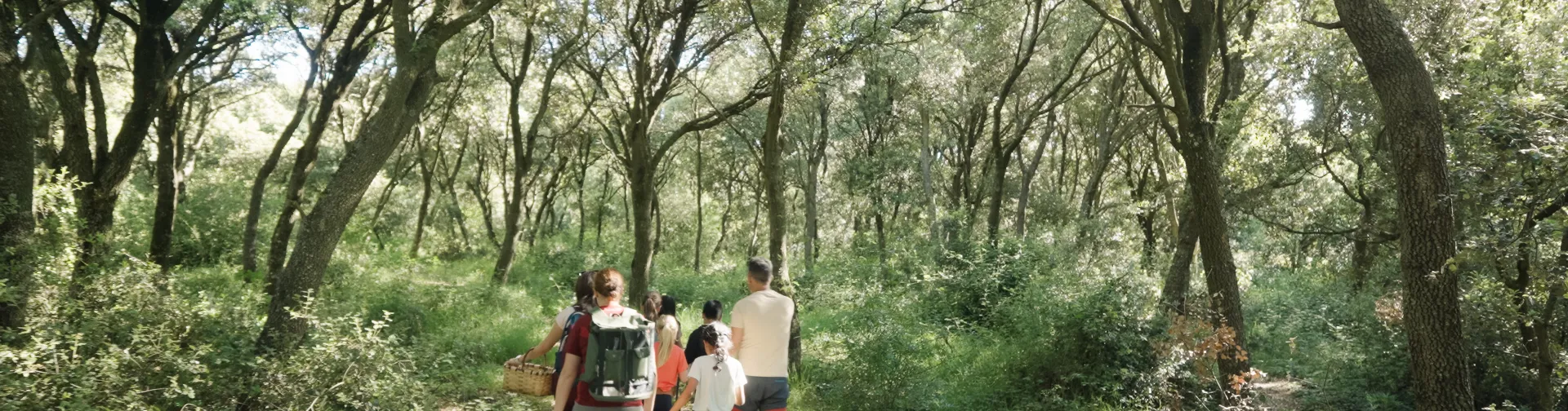 Visites culturelles et randonnées guidées à Baztan-Bidasoa