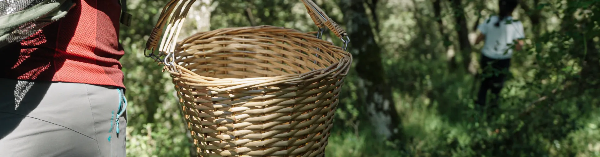 Senderista con cesta de mimbre para recolección de setas en bosque de Ultzama durante actividad micológica Saskiak.