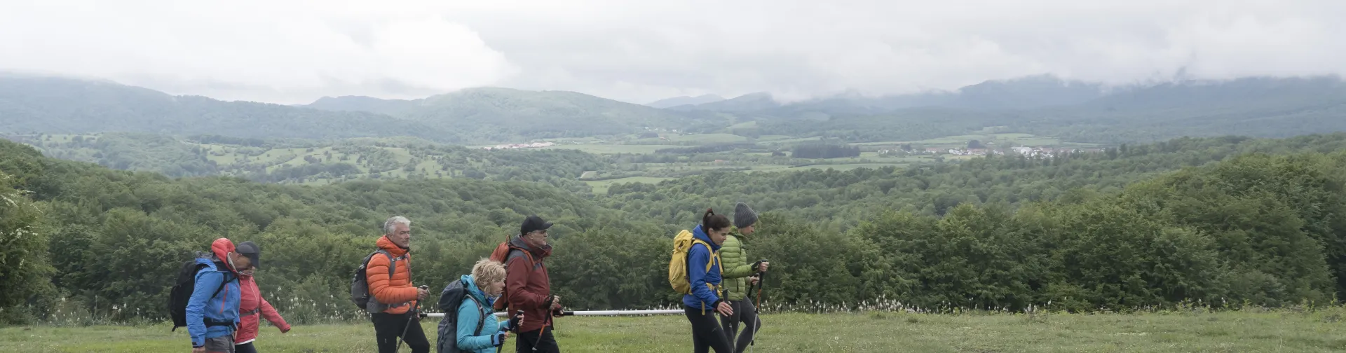 Grup de personas caminan en esplanada verde con bosque y monte al fondo, experiencia turistica de Lorentx.