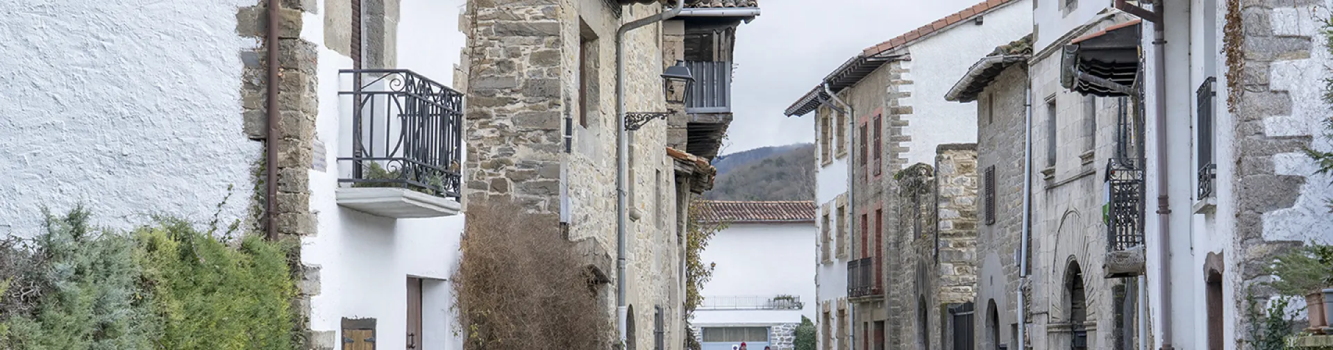 Calle empedrada de Larrasoaña con casas de piedra y arquitectura tradicional pirenaica.