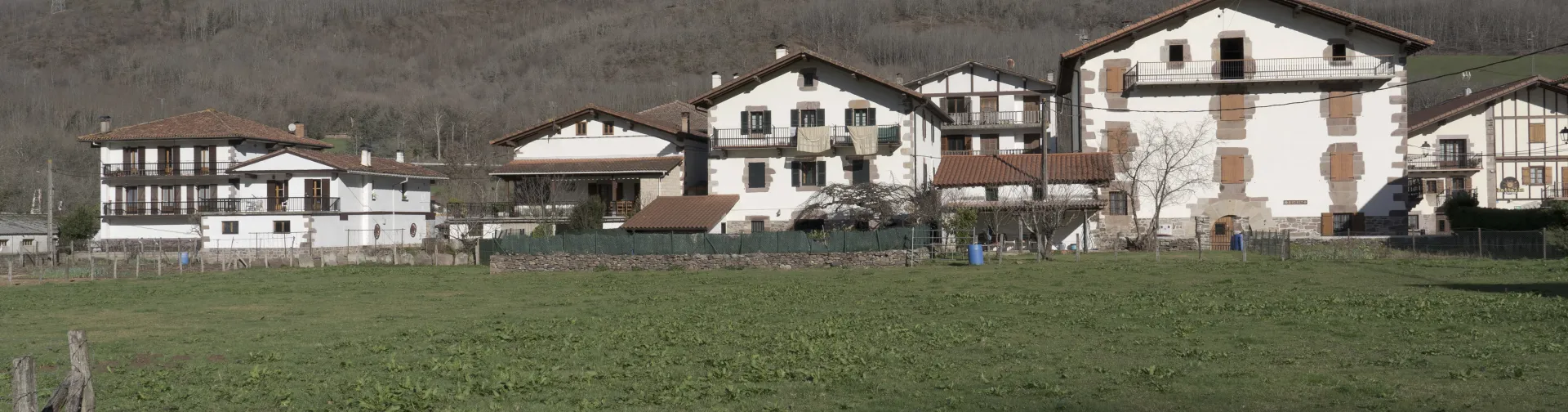 Conjunto de casas de Legasa con montañas de fondo y prados de pastoreo.