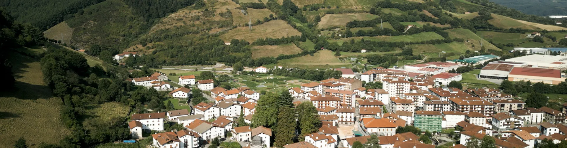 Vista aérea de Leitza con casas de tejado rojo, rodeadas de montes boscosos y prados verdes.