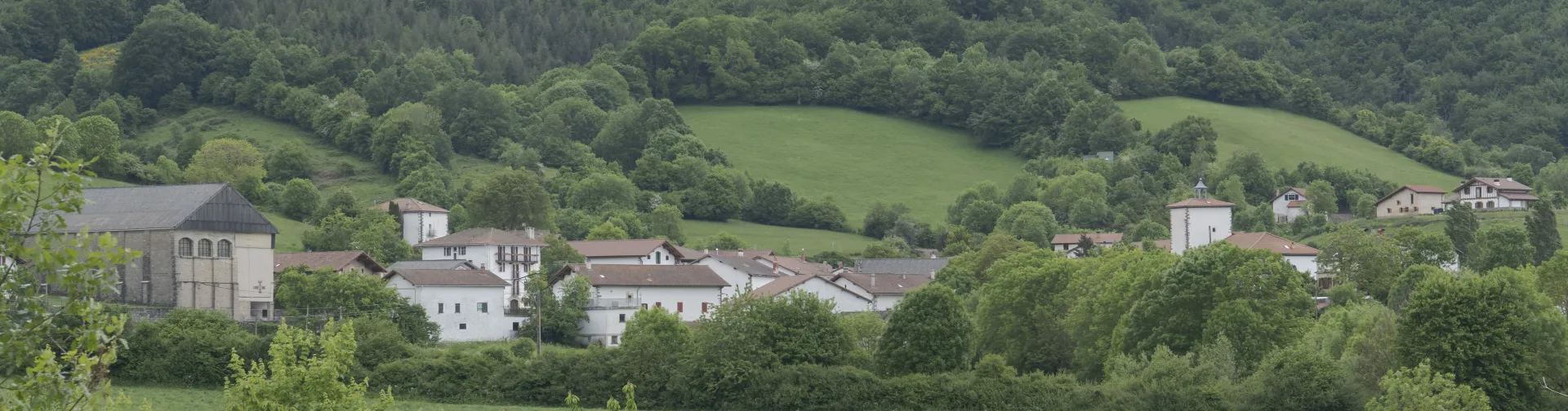 Pueblo de Mezkiritz rodeado de bosque, prados verdes y monte.