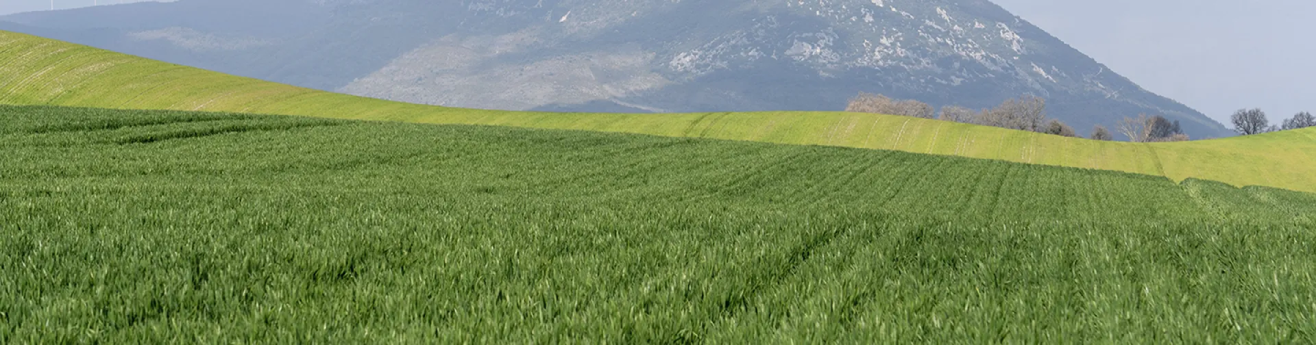 Prado verde delante de la Higa de Monreal, que tiene a su lado molinos de viento.