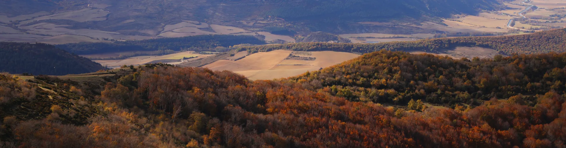 Vista panorámica del valle con la Higa de Monreal y bosque en otoño al fondo bajo cielo despejado.