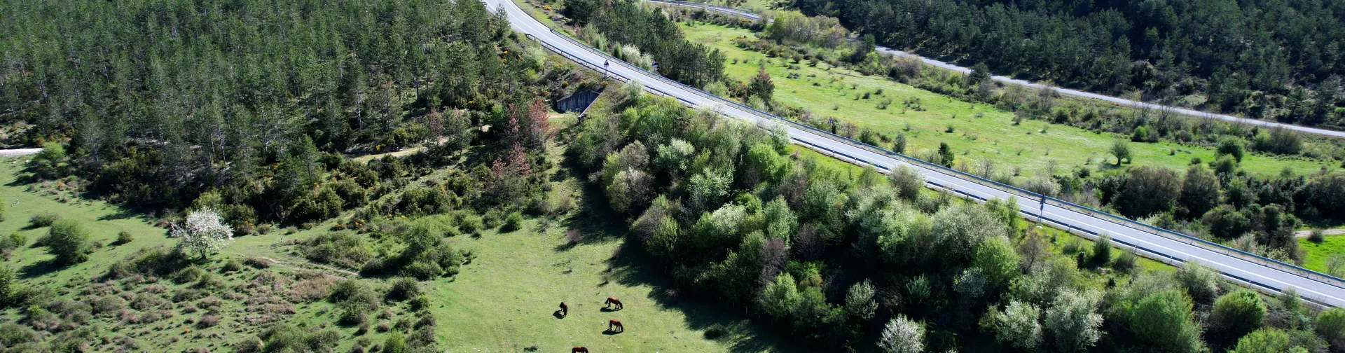 de termas romanas de Arce con infraestructura vial moderna paralela, rodeadas de prados y bosque en Pirineo de Navarra.