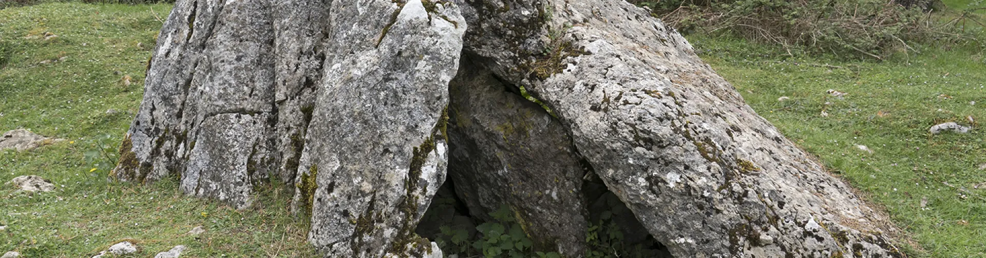 Dolmen megalítico de piedra en la Ruta de los Dólmenes de Aralar, rodeado de bosque de hayas.