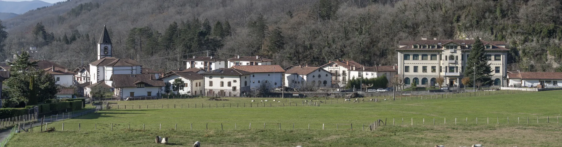 Panorámica de Oronoz con iglesia, casas dispersas, ganado en prados y montes boscosos.