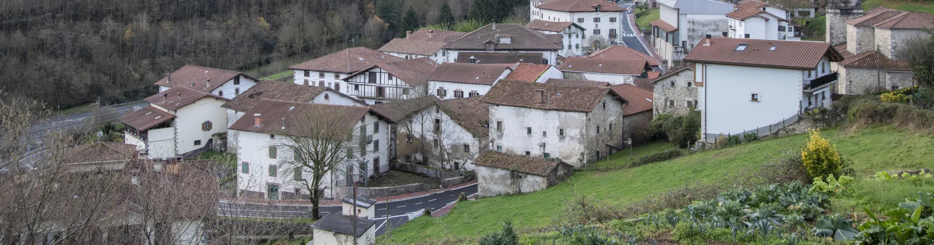 Vista general del pueblo de Almandoz, con conjunto de casas tradicionales y entorno montañoso del valle.