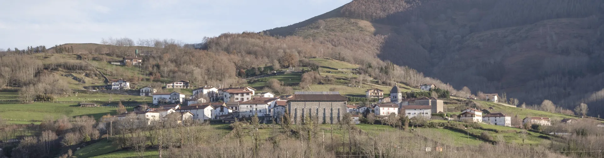 Vista general del paisaje y del pueblo de Arantza, un conjunto de casas tradicionales en un entorno montañoso y boscoso del valle.