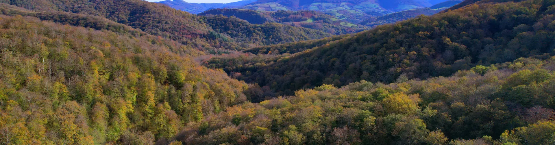 Paisaia basotsua, atzean mendiak dituela, Bertizko Parke Naturalean; udazkeneko landaretza, tonu berde eta marroiekin.