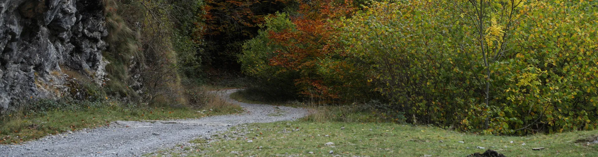 Sendero de tierra entre hayedo otoñal en Selva de Irati, Pirineo navarro.