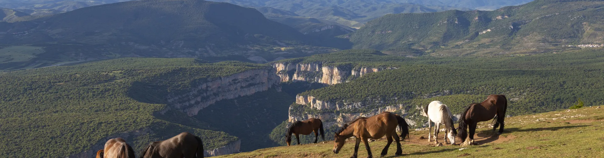 Sierra de Leyre | Vista de la Foz de Arbaiun