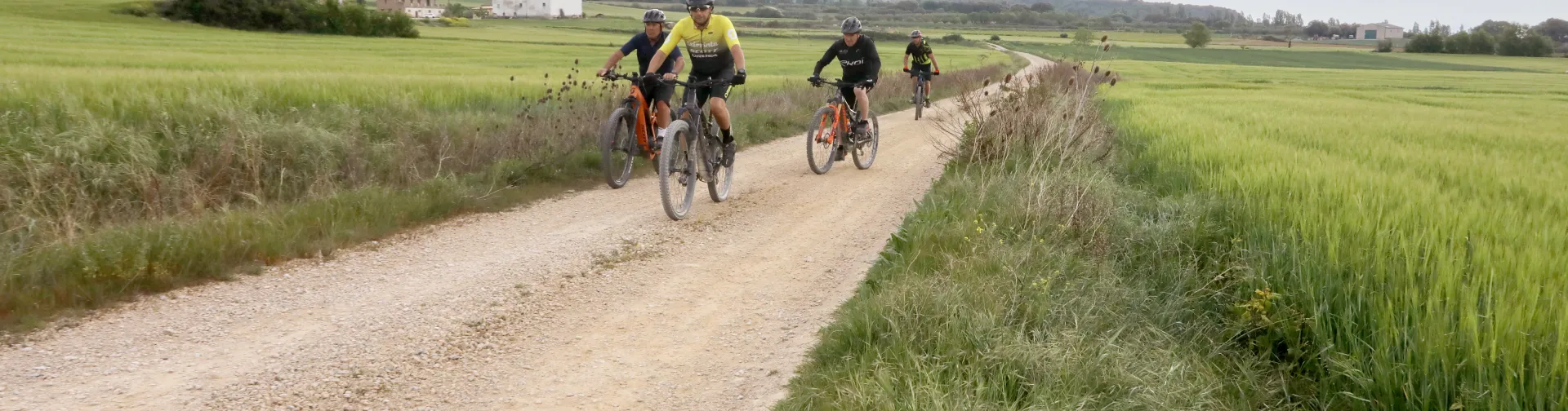 Grupo de ciclistas en camino rural entre campos verdes del territorio Eslava, con montañas al fondo.