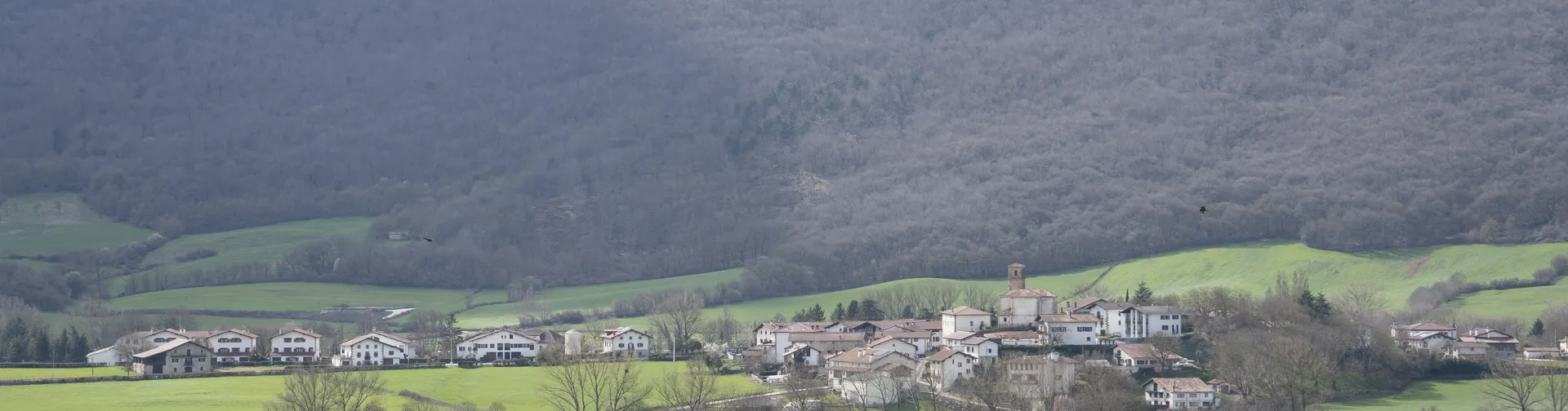 Pueblos de Valle de Ultzama con iglesia campanario rodeado de prados verdes y bosques de montaña al fondo.
