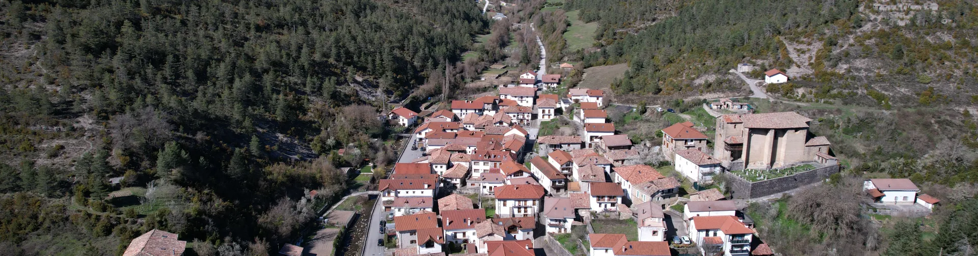 Vista aerea del pueblo de Vidangoz rodeado de bosques pirenaicos, con casas de tejado rojo y valle verde al fondo.