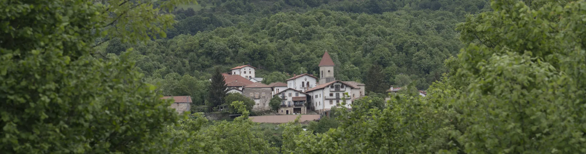 Vista general del pueblo de Villanueva de Arce rodeado de bosque y monte.