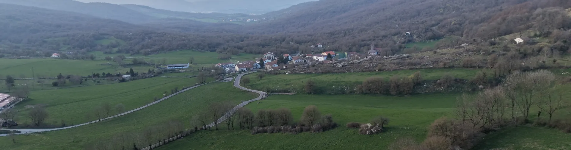 Valle de Larraun con prados verdes, carreteras, pueblo y bosque caducifolio en ladera, visto desde altura.