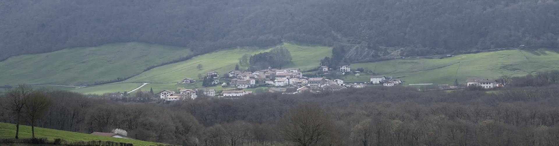 Valle de Ultzama con pueblo en prado verde rodeado de bosque y montañas boscosas de fondo.