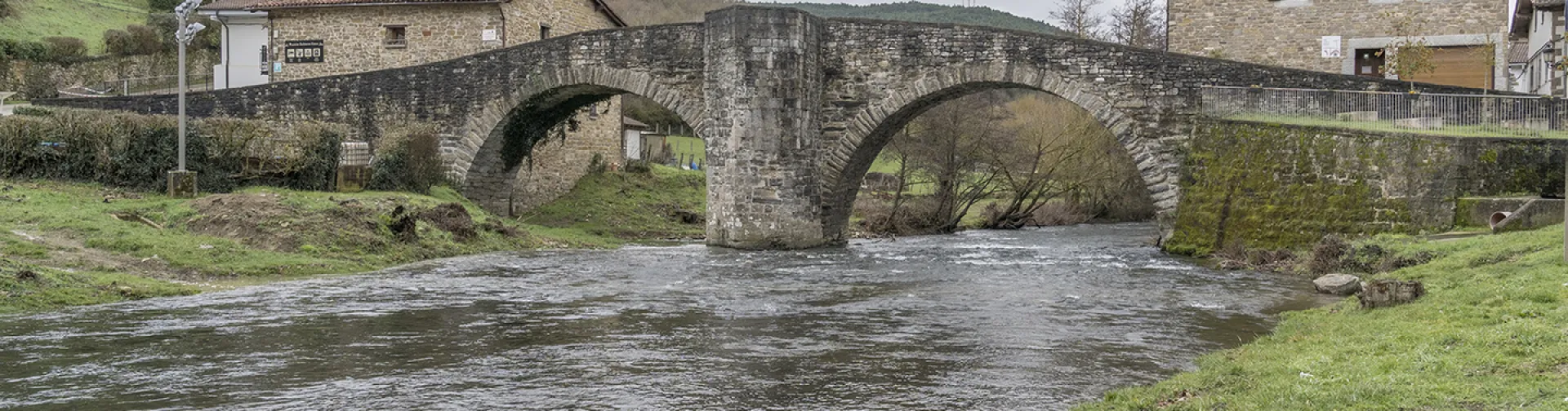 Puente de piedra con arco románico sobre río en Zubiri, rodeado de vegetación y bosque pirenaico.