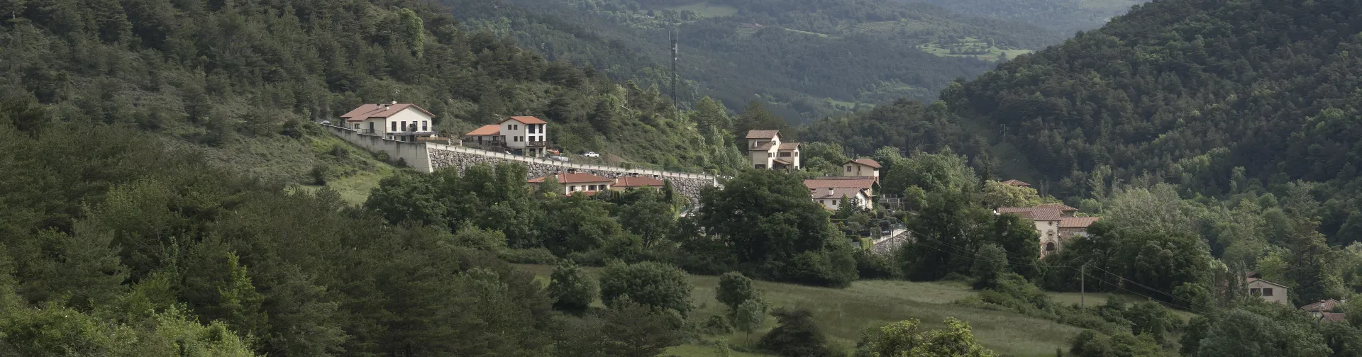 Valle verde con casas dispersas del pueblo de Zuriain entre bosque y montes.
