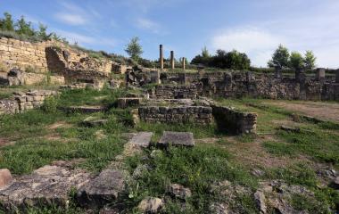 Yacimiento de Santa Criz de Eslava, vegetación entre restos arqueológicos.