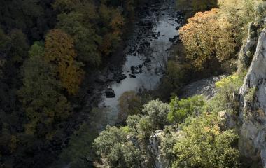 Rio en calma que atraviesa la Foz de Arbayun rodeado de arboles con colores otoñales.