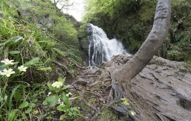 Cascada de Xorroxin en Baztan-Bidasoa con salto de agua entre vegetación frondosa y rocas cubiertas de musgo.