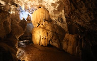 Interior de las Cuevas de Urdax con estalactitas iluminadas en tonos dorados y formaciones rocosas características.