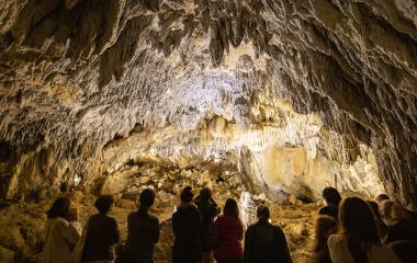 Cuevas de Urdazubi/Urdax