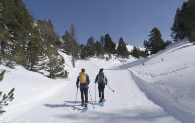 Dos personas con raquetas en paisaje nevado de Larra-Belagua, Pirineo navarro, con pinos dispersos y montañas al fondo bajo cielo despejado.