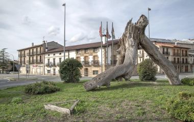 Tronco retorcido de árbol en una rotonda de Etxarri Aranatz, con edificios de piedra y banderas al fondo.