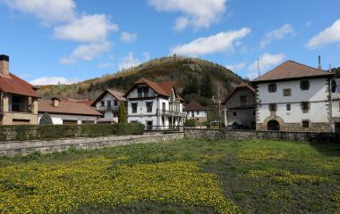 Casas tradicionales de piedra y madera en Ezcaroz con prado de flores amarillas y montañas boscosas al fondo.