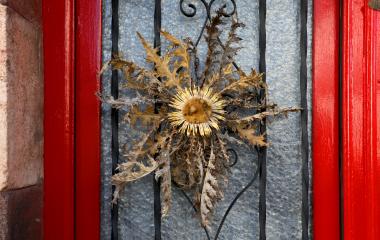 Detalle de un eguzkilore seco  sobre puerta roja en Garaioa, con ornamentación de hierro forjado.