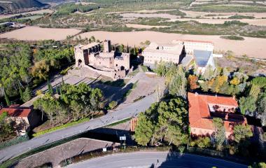 Castillo de Javier rodeado de bosque y construcciones grandes.