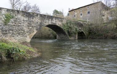 Puente medieval de piedra sobre río en Larrasoaña, con edificio de piedra al fondo y vegetacion.